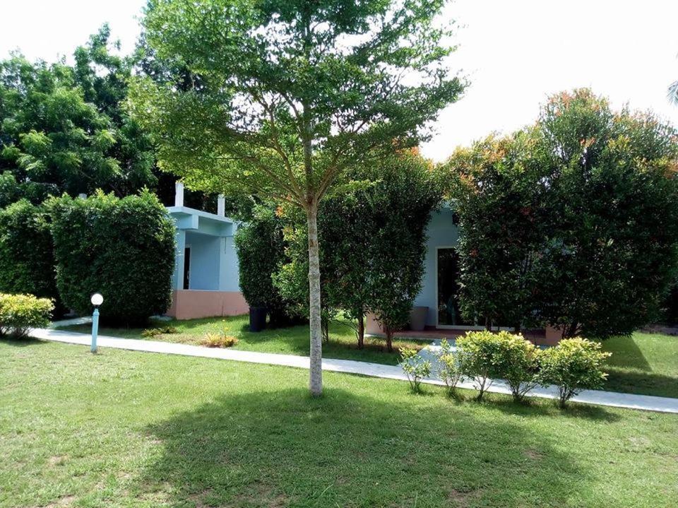Atmyhomestay Bangsaphan Bang Saphan Exteriér fotografie